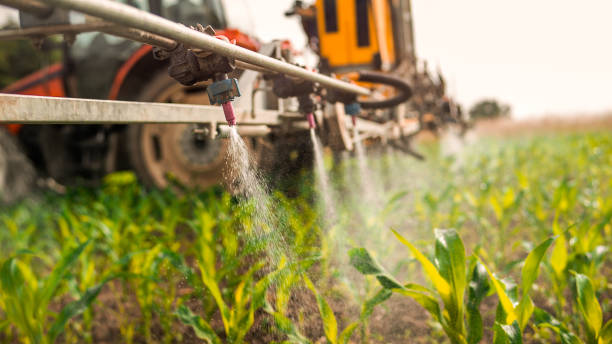 Best Mosquito Control Services  in Southside, AL